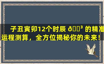 子丑寅卯12个时辰 🌳 的精准运程测算，全方位揭秘你的未来！